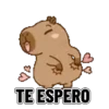 Capibara amor 💕✨ 5