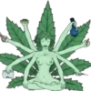 Marijuana 2 11