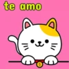 michis❤🐱🐽 12