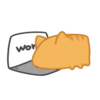 Orange Capoo @IMG2D 6