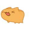 Orange Capoo @IMG2D 8