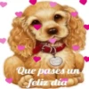 PERRITOS AMOROSOS 12