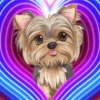 PERRITOS AMOROSOS 13