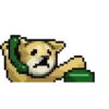 LIHKG Dog Animated (Unofficial) 13