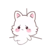 White Foxs mov 12
