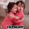 Reactions 13