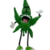Marijuana 2 13