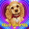 PERRITOS AMOROSOS 14