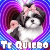 PERRITOS AMOROSOS 15