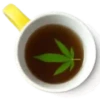 Marijuana 2 21