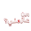 Ramadan & Eid Stickers 2024 23