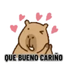 Capibara amor 💕✨ 10