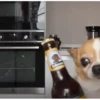 Celebrar 8