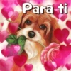 PERRITOS AMOROSOS 20