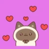 michis❤🐱🐽 23