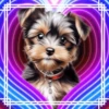 PERRITOS AMOROSOS 21