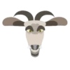 Silly Goat Gifs by Summer Cronin 3