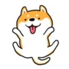 PERRITOS mov 17