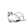 PERRITOS mov 19