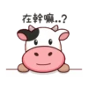 Momo cow🐮Movi🇲🇽 23