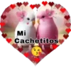 Frases de amor💞2🇵🇪Movi 19