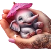 Elefantes bebés🐘💞1🇵🇪Movi 25