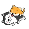 PERRITOS mov 22