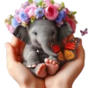 Elefantes bebés🐘💞1🇵🇪Movi 26