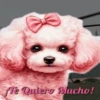 PERRITOS AMOROSOS 23