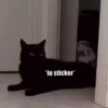Котята 🐱 7