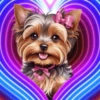 PERRITOS AMOROSOS 27