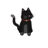 Kittykat 5