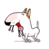 PERRITOS mov 23