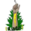 Marijuana 2 30