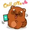 Mapache 5