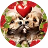Animales Amorosos💞2🇵🇪Movi 5