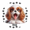 Perritos Tiernos ✺5🇻🇪Mov 6