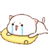 sad-nya 11