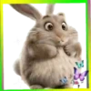 Animalitos Cute💞3🇵🇪Movi 9