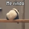Decepcion 10