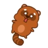 Mapache 6
