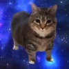 🎵 TIKTOKeando 30🎵 7