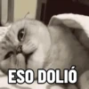 NO ME DEJES EN VISTO ✔️✔️😾 5