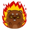 Mapache 7