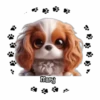 Perritos Tiernos ✺5🇻🇪Mov 14