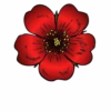 Flores y Rosas Rojas💞1🇵🇪Movi 7
