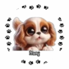 Perritos Tiernos ✺5🇻🇪Mov 15
