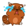 Mapache 9