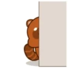 Mapache 10