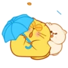 CUTE  FAT  CAT 10